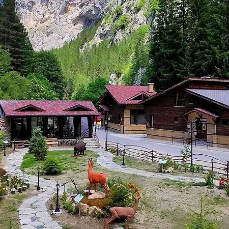 Horlog Castle Vakantiepark