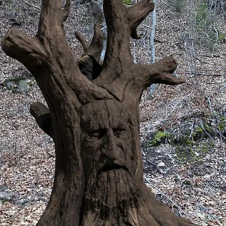 Horlog Castle Vakantiepark Trigrad