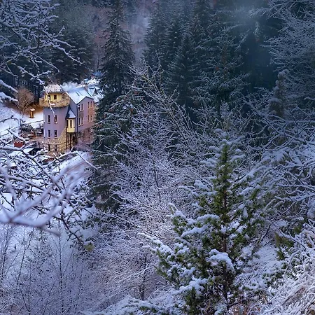 Horlog Castle 3* Триград