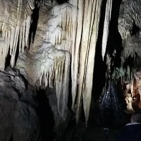 Horlog Castle Πάρκο διακοπών 3*