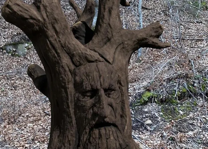 Horlog Castle Holiday park Trigrad